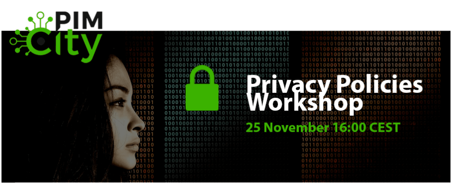 Privacy Policies Workshop (25/11/2020)